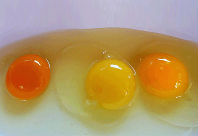 yumurtanin-sarisinin-rengi-neyin-habercisi--5522954
