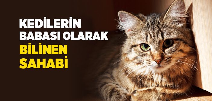 Ebu Hureyre’nin (r.a.) Hayatı