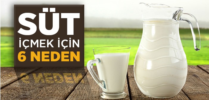Süt İçmenin Faydaları