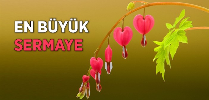 Hayatta Dengeyi Yakalamanın Sırları