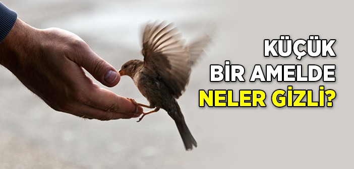 Allah Katında En Makbul Amel: Küçük Bir Amelde Neler Gizli?