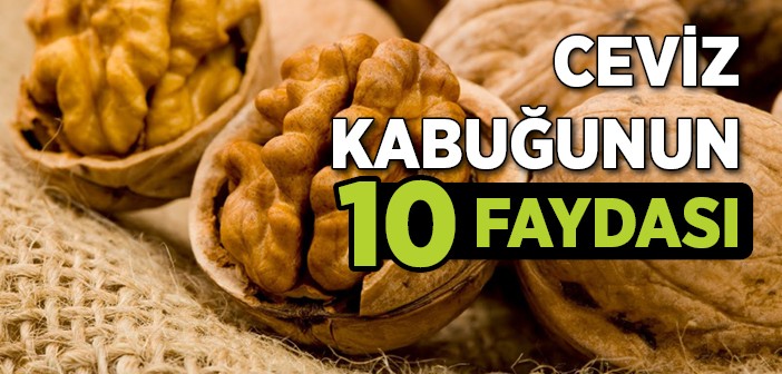 Ceviz Kabuğunun Faydaları Nelerdir?