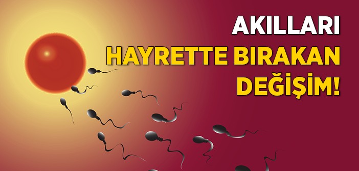 İnsanın Hücrelerinde Dolanan Sır!