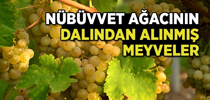 Kalp Bir, Sevgi Dört: Bir Gönle Dört Sevgi Nasıl Sığar?