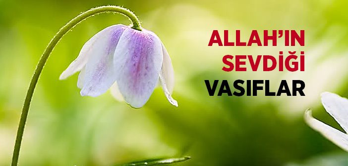 Allah’ın Sevdiği Vasıflar Nelerdir?
