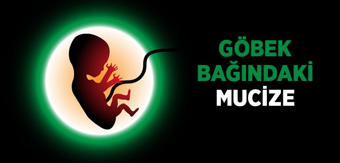 Göbek Bağındaki Mucize