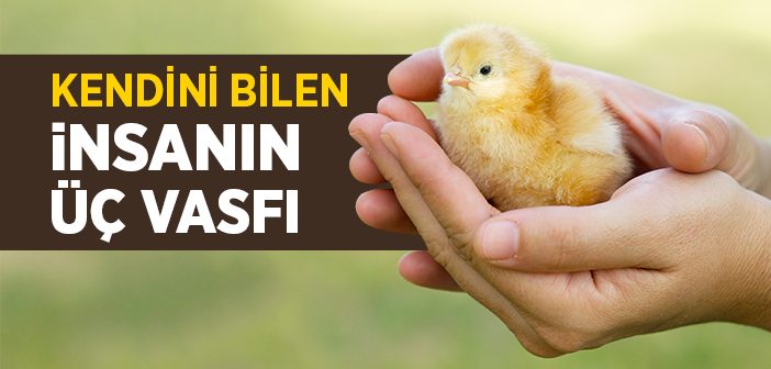 Kendini Bilen İnsanın Üç Vasfı