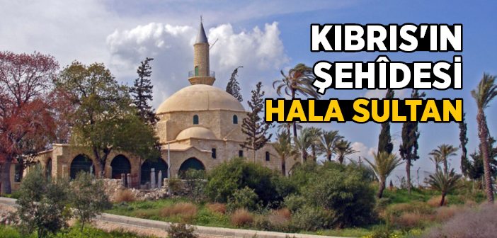 Ümmü Haram Binti Milhan (ra) Kimdir?