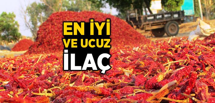 Acı Biberin Faydaları Nelerdir?