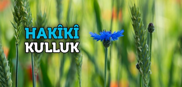 Hakîkî Kulluk Nedir?