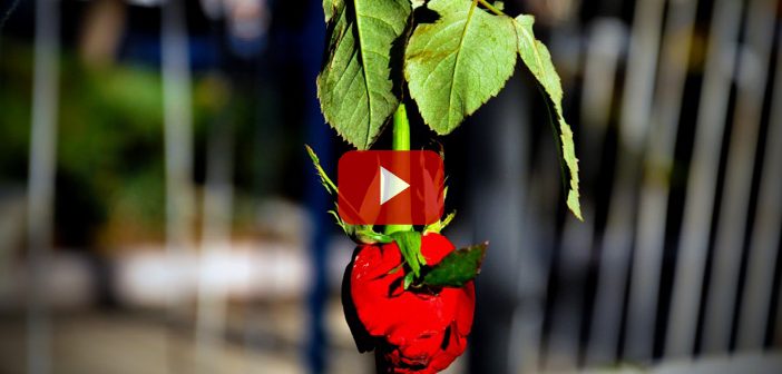 Hürmeti Müsahere Nedir?