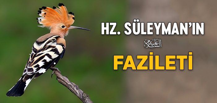 Hz. Süleyman'ın (a.s.) Fazileti