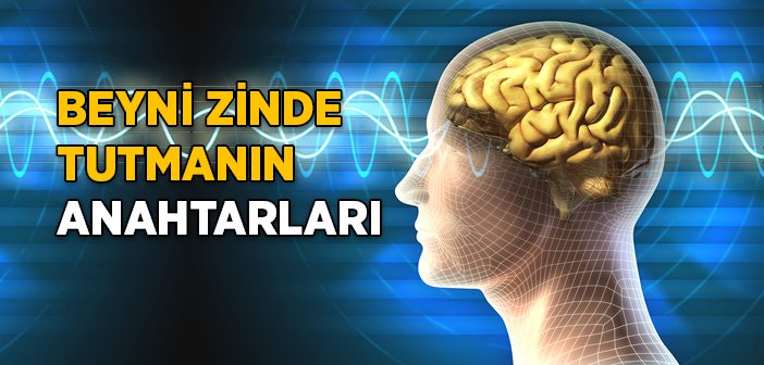 Beyin Nasıl Zinde Tutulur?