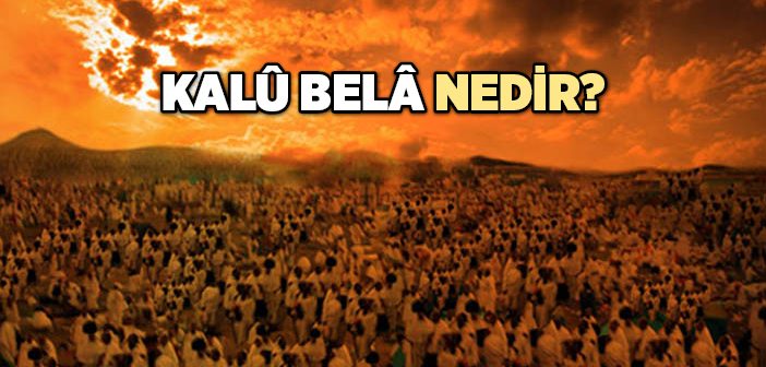 Kalu Bela Nedir?