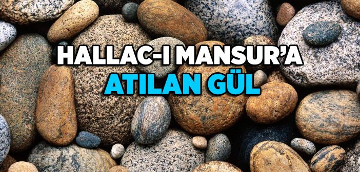Hallac-ı Mansur’a (k.s.) Atılan Gül