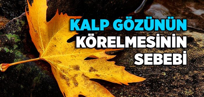 Kalp Gözü Neden Körelir?