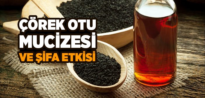 Çörek Otu Mucizesi ve Şifa Etkisi