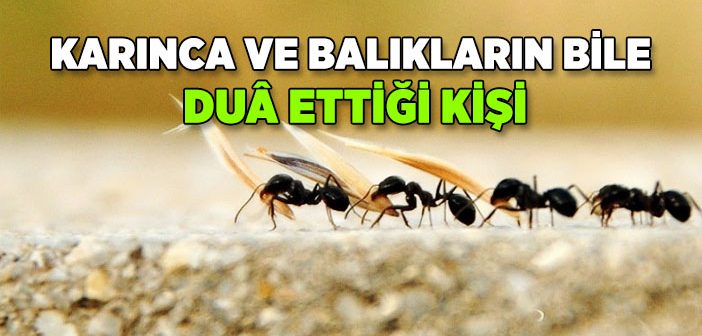 İnsan Allah’ı Unutursa