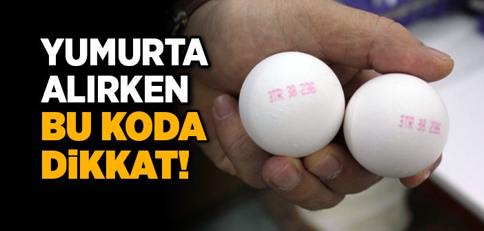 İyi Yumurta Nasıl Anlaşılır?