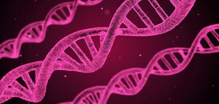 Hücrelerde Dna’nın Yeni Bir Yapısı Keşfedildi