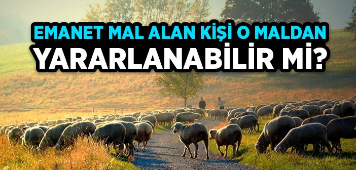 Emanet Mal Alan Kişi O Maldan Yararlanabilir mi?