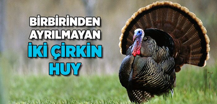 İslam’da Gurur ve Kibir Neden Yasaktır?