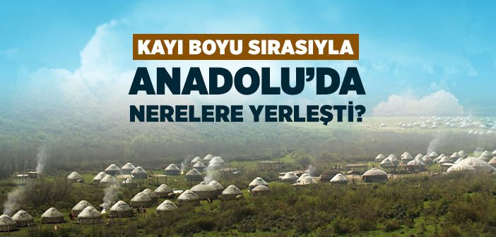 Kayı Boyu Tarihi