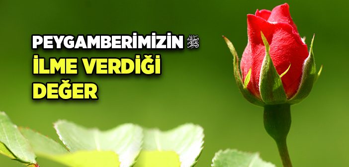 Peygamber Efendimiz’in İlme Verdiği Değer
