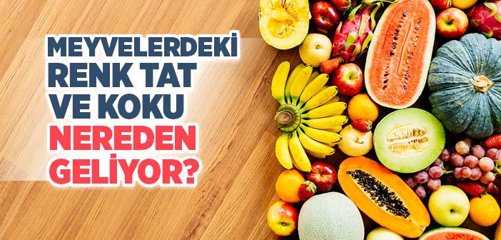 Meyvelerdeki Renk, Tad ve Koku Nereden Geliyor?