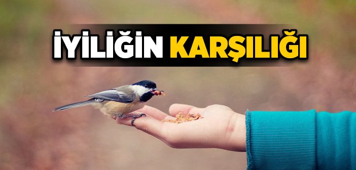 İyiliğin Karşılığı