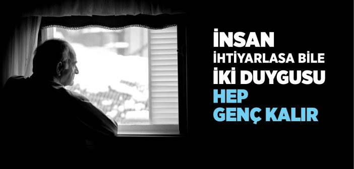 Para Kazanma Hırsı Neden Olur?