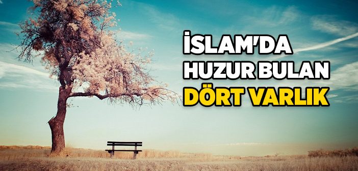 İslam Nasıl Huzur Verir?