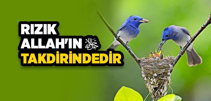 Rızık Allah’tandır