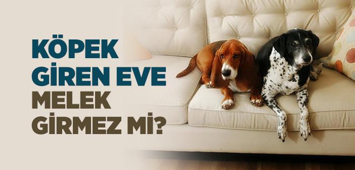 Köpek Giren Eve Melek Girmez mi?