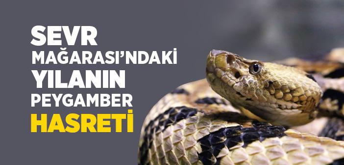 Sevr Mağarası’ndaki Yılanın Hikâyesi