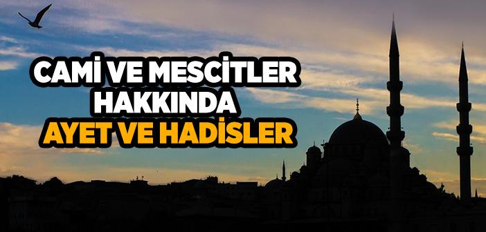 Cami ve Mescit Nedir?