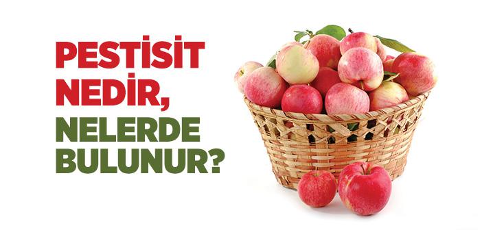 Pestisit nedir, Nelerde Bulunur?