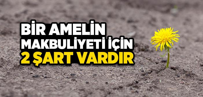 Amelleri Boşa Gidenler İle İlgili Ayetler