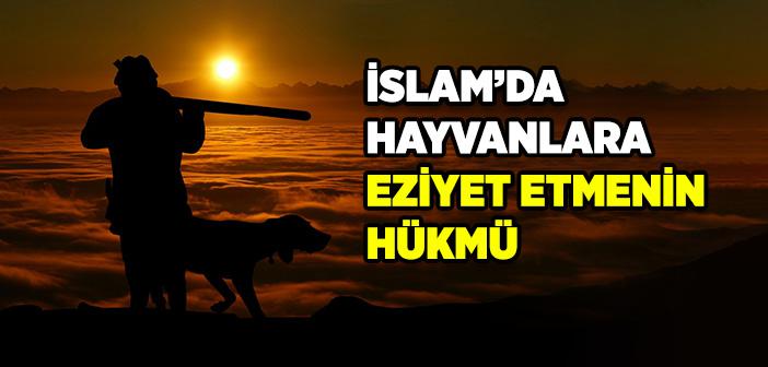 İslam’da Hayvanlara Eziyet Etmenin Hükmü Nedir?