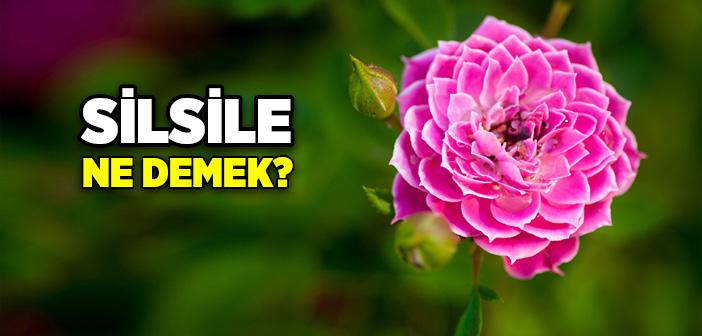 Silsile Nedir? Silsile Ne Demek?