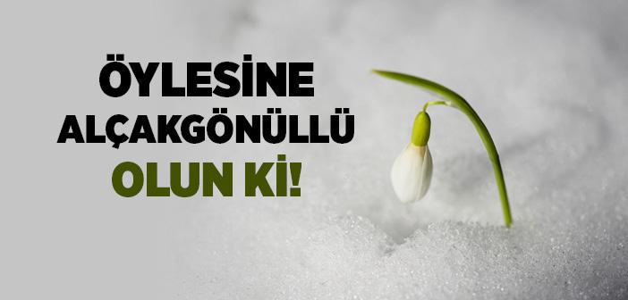 “Birbirinize Karşı Öylesine Alçakgönüllü Olun ki Hiçbir Kişi Diğerine Karşı Haddi Aşıp Zulmetmesin” Hadisi