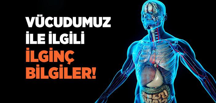 İnsan Vücudu ile İlgili İlginç Bilgiler