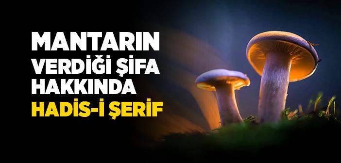 Mantar ile İlgili Hadis