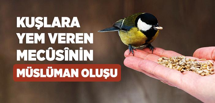 Kuşlara Yem Veren Mecûsînin Müslüman Oluşu