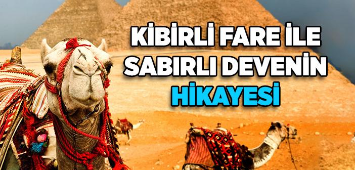 Fare ile Deve Hikayesi