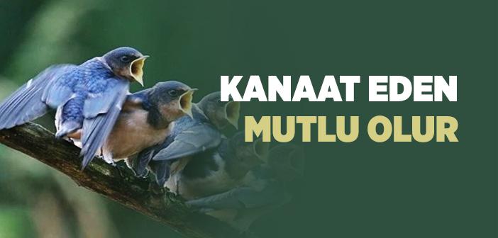 “Kanaat Eden Mutlu Olur” Hadisi