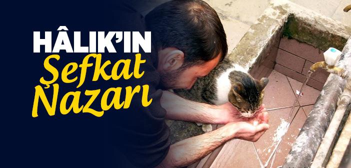 Osmanlı ve İslam Medeniyetinde Hayvan Hakları ve Merhamet Geleneği