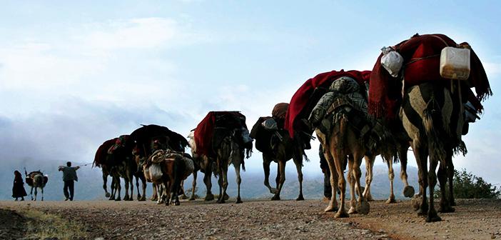 Kültürün Unsurları