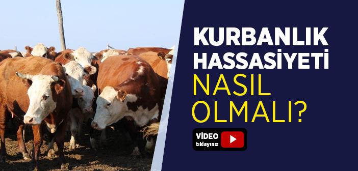 Kurbanlık Hassasiyeti Nasıl Olmalı?