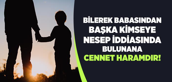Nesep Nedir?